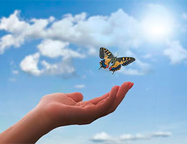 consulta de anatologia